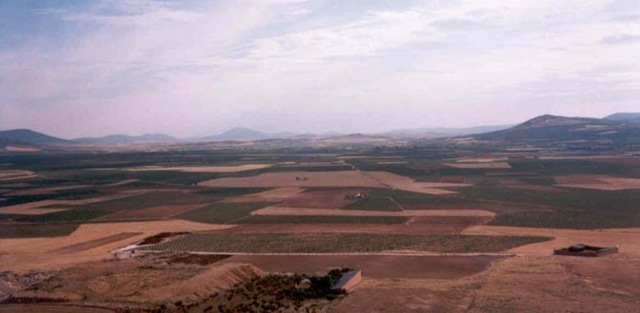 [LA_MANCHA_CONSUEGRA[11].jpg]